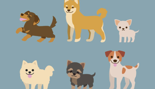 【相互リンクのご紹介】犬への深い愛と役立つ情報が詰まった「飼い主の教科書」ブログ